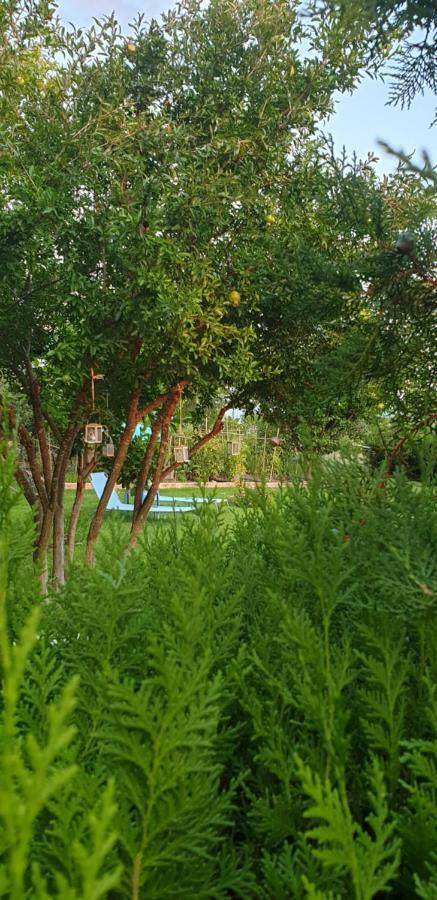 Maria'S Luxury Apartment Kassandria Ngoại thất bức ảnh